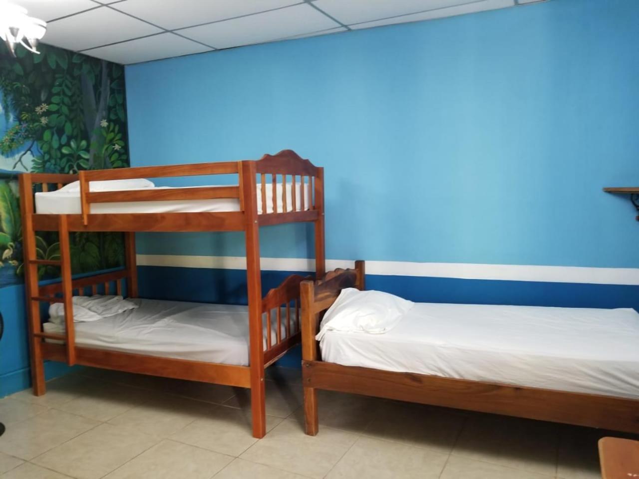 מויוגאלפה Hospedaje Hefziba מראה חיצוני תמונה